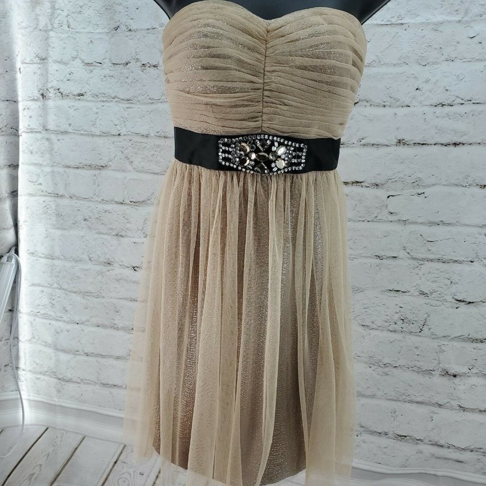 Hailey Logan Beige Strapless Top with Embellished Black Band